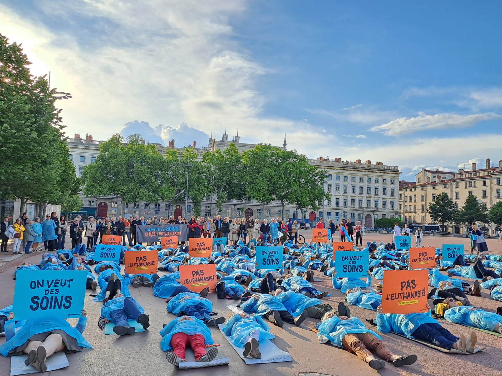 alliance vita réseau de bénévoles