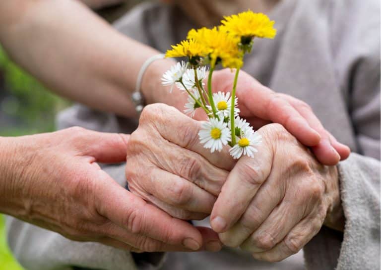 soins palliatifs une loi définitivement adoptée