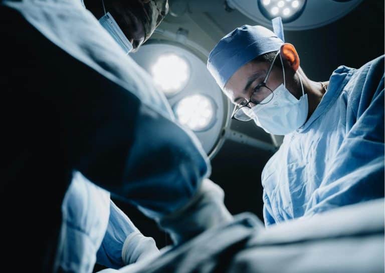 Xenografts Ethical Benchmarks for Accompanying Scientific Progress