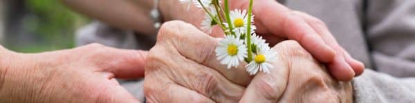 Palliative Care The Law Has Been Adopted Once and for All