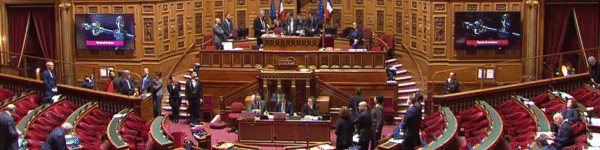 Fin de vie : le Sénat vote la motion préalable et acte l’impossibilité d’un compromis