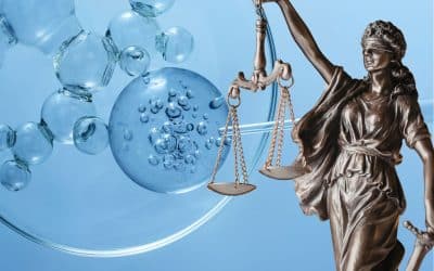 Le CCNE publie une synthèse des Etats généraux de la bioéthique 2026