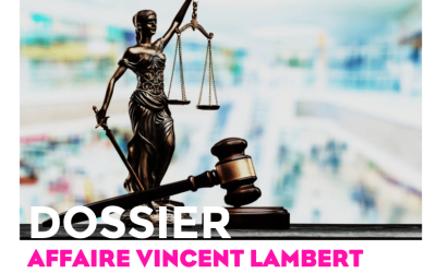 Procédures judiciaires concernant Vincent Lambert