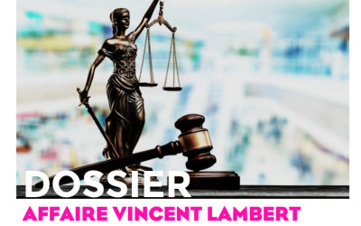 procédures judiciaires concernant vincent lambert